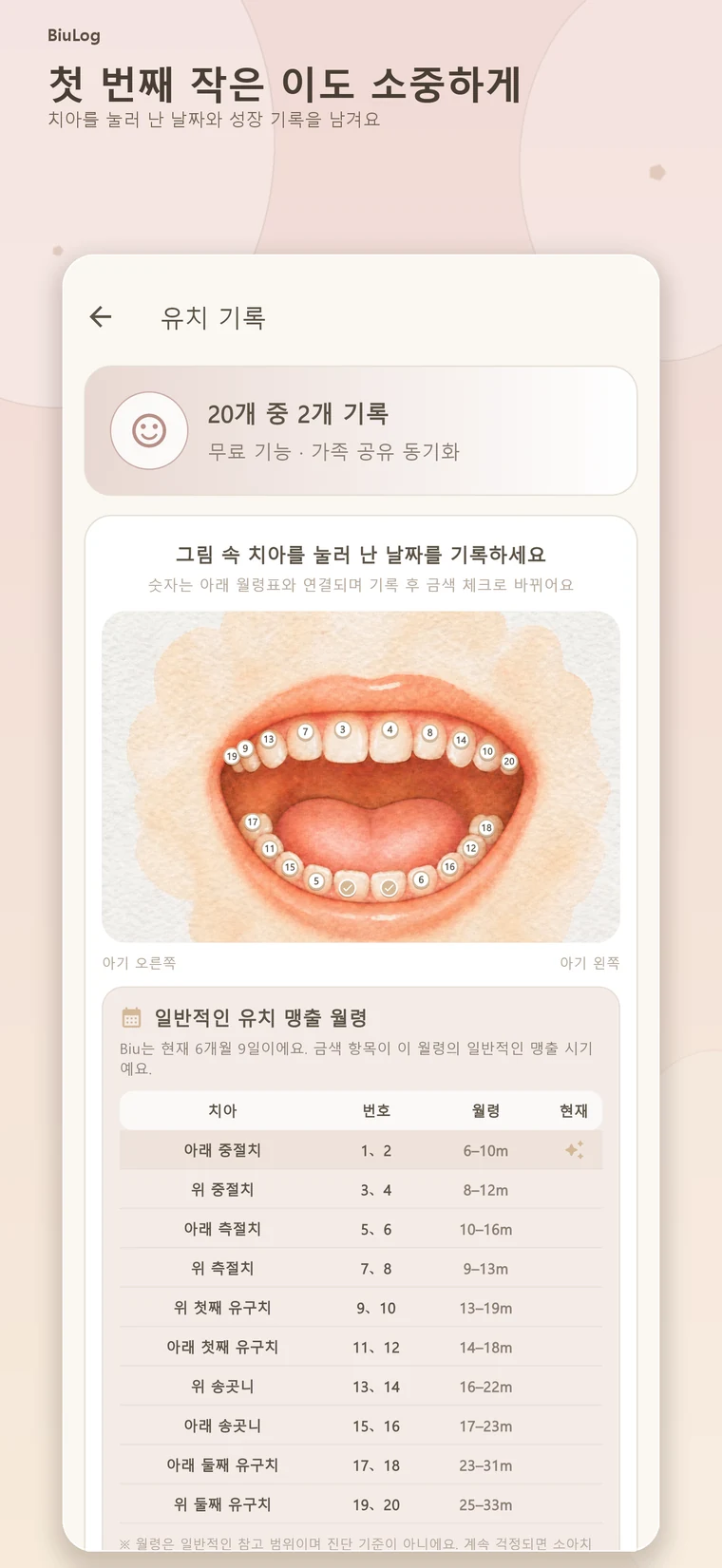 유치 기록