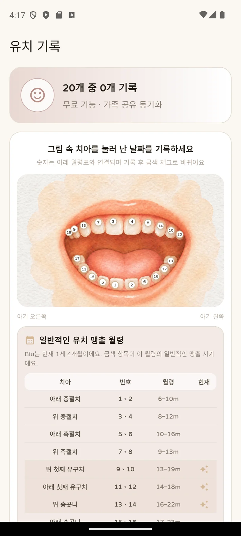 치아 위치·번호·맹출 시기를 한눈에
