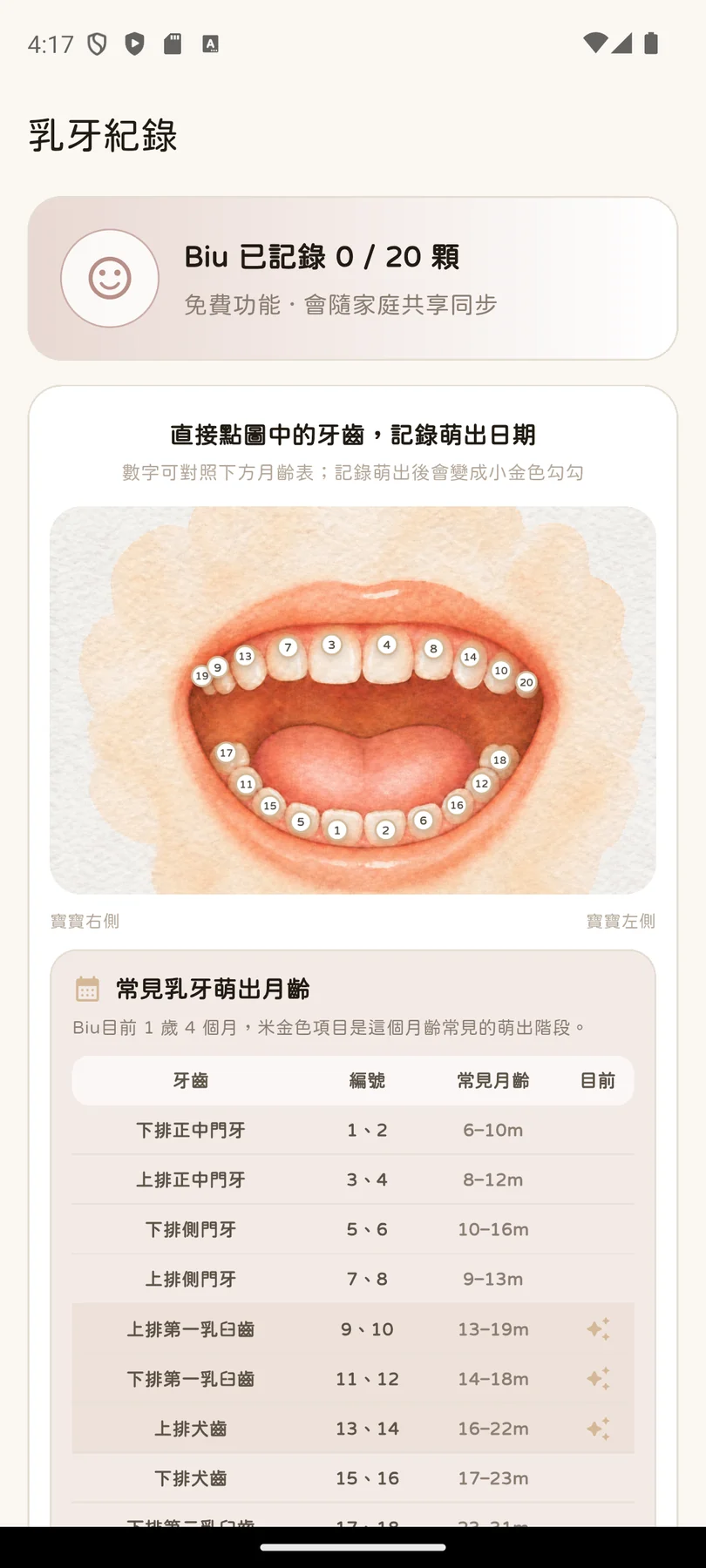 乳牙位置、編號與萌出月齡，一眼看懂